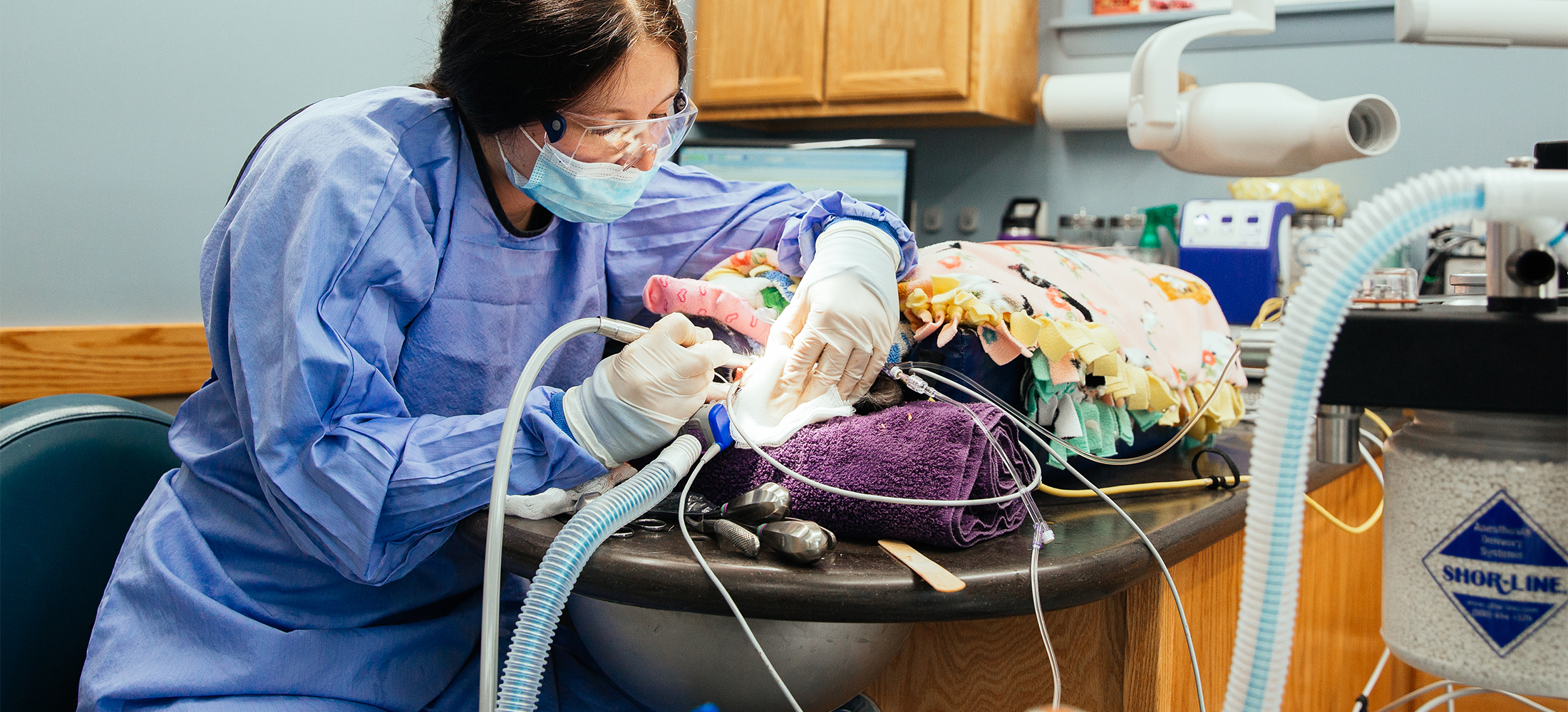 Signature Services Veazie Veterinary Clinic