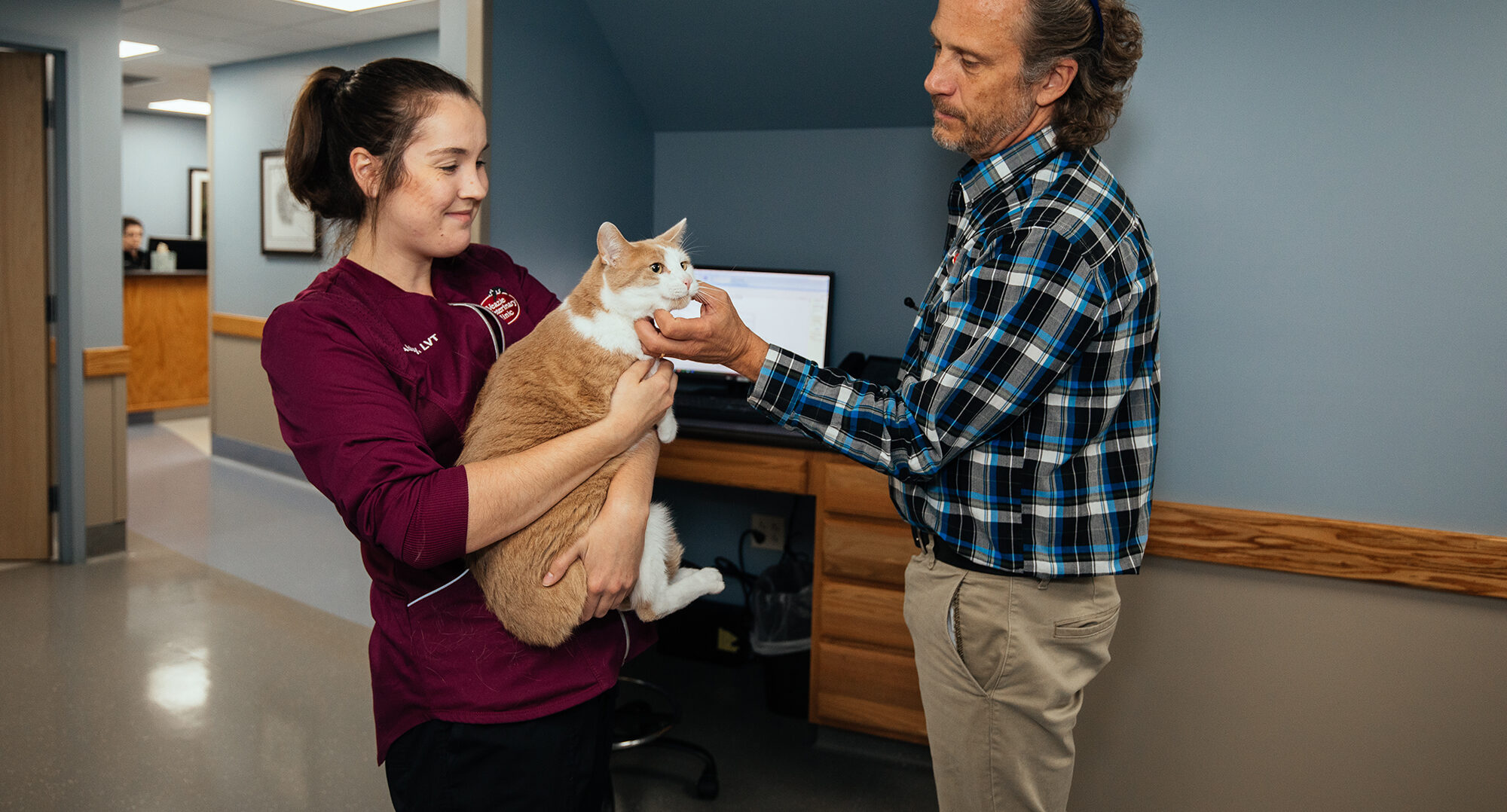 Pet Diagnostic Services in Maine Veazie Veterinary Clinic