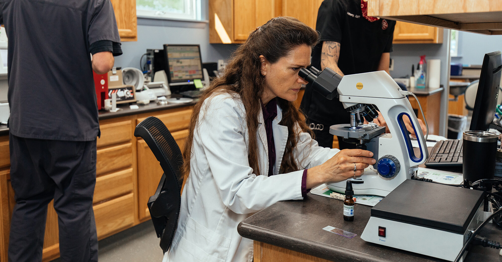 Veterinary Oncology in Bangor, Maine Veazie Veterinary Clinic