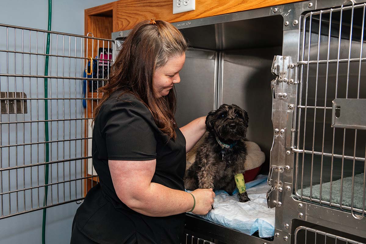 Pet Emergency & Surgery Veazie Veterinary Clinic